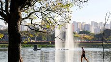 No litoral, o clima será favorável para atividades ao ar livre, com temperaturas variando entre 18°C e 28°C em cidades como Santos e Guarujá - Imagem: Reprodução