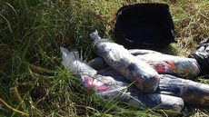 Idosa esquarteja marido e polícia acha os restos mortais em mala e no congelador - Imagem: reprodução PCMS
