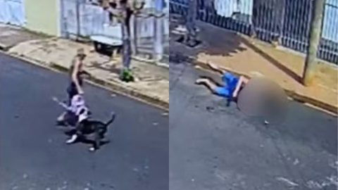 Pedro Henrique, de 78 anos, foi ferido ao acompanhar sua bisneta de 7 anos até a escola em Vista Alegre do Alto - Imagem: Redes Sociais