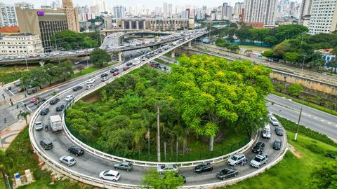 O Bosque das Maritacas, que fica no centro da cidade, foi o primeiro espaço urbano de conservação de São Paulo - Imagem: divulgação Édson Lopes Jr./SECOM