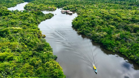 Amazônia. - Imagem: Reprodução | Amazônia 2030