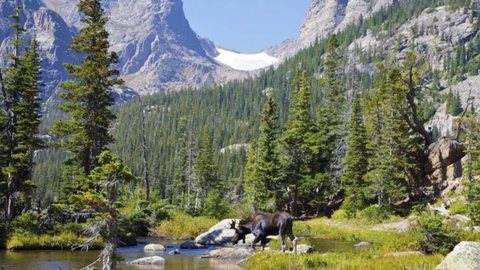 Parque Nacional das Montanhas Rochosas do Colorado - Imagem: Reprodução |  Rickky's Trips