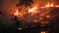 Incêndio florestal. - Imagem: Reprodução | Nilmar Lage/Greenpeace