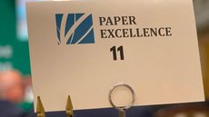 Paper Excellence - Imagem: Reprodução | X (Twitter)