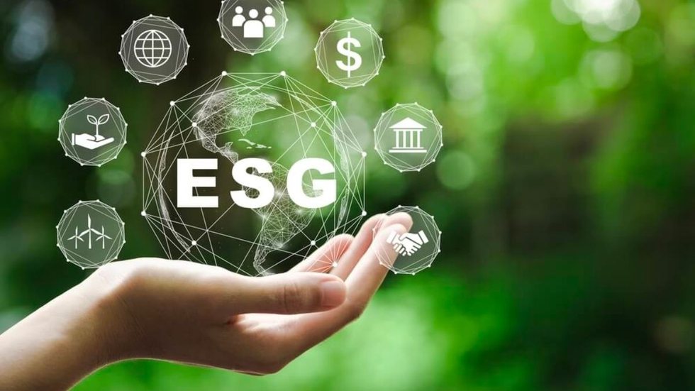 Os impactos na implementação do ESG nas empresas - Imagem: Reprodução | YouTube