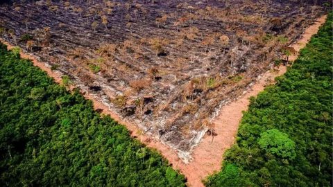Desmatamento dispara e triplica em março - Imagem: Divulgação / Ibama