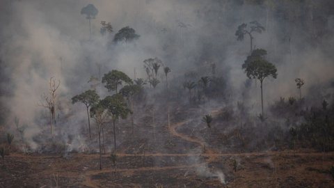 Amazonas entra em estado de emergência ambiental - Imagem: Reprodução | Bruno Kelly/Greenpeace