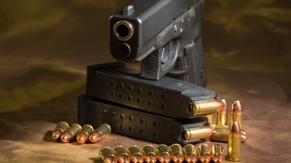 Oposição critica aumento do IPI em armas e munições - Imagem: Reprodução | Senado Federal