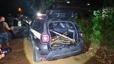 Por que nenhum indivíduo foi detido após a recuperação das metralhadoras do exército? - Imagem: Divulgação / Polícia Civil