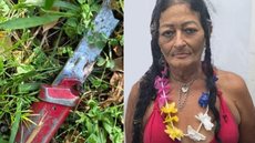 Josefa Lima de Sousa, conhecida como Gringa, é acusada de assassinar e canibalizar morador de rua em ato brutal. - Imagem: Reprodução | Redes Sociais
