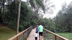 São Paulo transforma áreas degradadas em refúgios para a fauna e a flora - Imagem: Divulgação / JFDiorio / SECOM