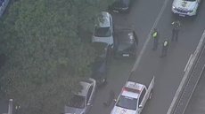 Entre os veículos atingidos estão modelos populares como Fiat Doblò, Ford Ka e Renault Kwid; polícia busca proprietários - Imagem: Reprodução | TV Globo