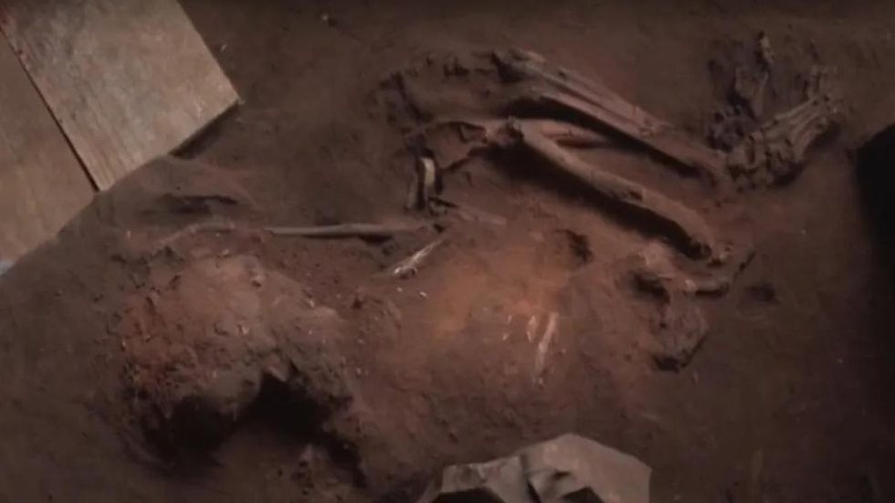 Fóssil humano encontrado em Goiás. - Imagem:  Reprodução / TV Anhanguera