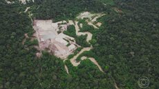 Desmatamento na Amazônia tem a menor taxa em cinco anos, aponta Inpe - Imagem: Reprodução | TV Globo