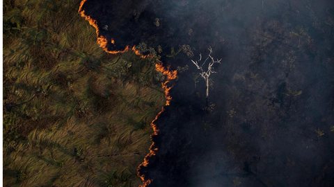 O Brasil e a crise do meio ambiente. - Imagem: Reprodução |  Bruno Kelly / Amazônia Real