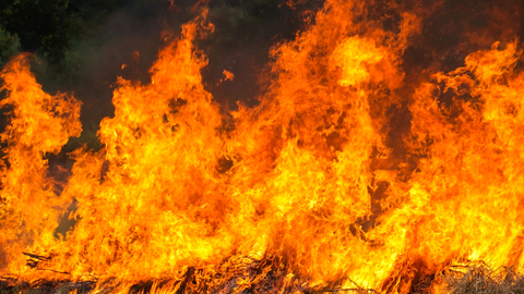 Mais de 20 incêndios florestais se espalharam por Portugal nesta quarta-feira (13) - Imagem: Freepik