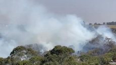 Incêndio permanece no sudoeste da França; mais moradores são retirados - Imagem: reprodução grupo bom dia