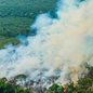 Incêndios em São Paulo: situação crítica se agrava com aumento de focos ativos - Imagem: Reprodução/Fotos Públicas