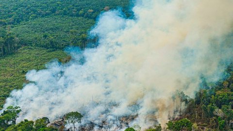 Incêndios em São Paulo: situação crítica se agrava com aumento de focos ativos - Imagem: Reprodução/Fotos Públicas