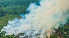 Incêndios em São Paulo: situação crítica se agrava com aumento de focos ativos - Imagem: Reprodução/Fotos Públicas