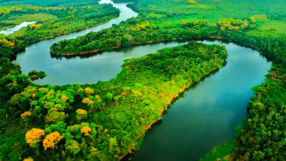 Incra pede anulação de compra de área na Amazônia maior que SP por empresa estrangeira - Imagem: reprodução Blog Stoodi