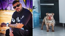 Cadeirante e sem sensibilidade nos membros inferiores, Matheus só percebeu a gravidade da situação ao acordar com sangramento - Imagem: Reprodução / Instagram / @matheusvandree
