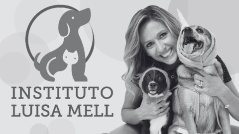 Instituto Luisa Mell retira nome da ativista e levanta polêmica na web - Imagem: reprodução Instagram