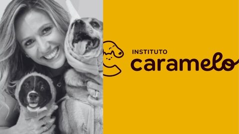 O Instituto Caramelo anunciou que irá processar Luisa Mell por suas declarações. - Imagem: reprodução I Instagram