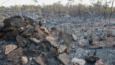 Defesa Civil alerta para risco extremo - Imagem: Reprodução / Wilson Dias / Agência Brasil