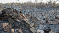 Defesa Civil alerta para risco extremo - Imagem: Reprodução / Wilson Dias / Agência Brasil