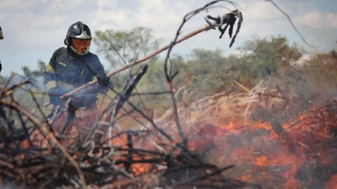 Vídeo mostra trabalho dos bombeiros e Defesa Civil - Imagem: Divulgação / Pablo Jacob / Governo de São Paulo