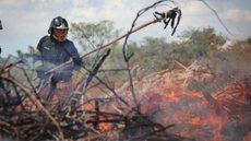 Vídeo mostra trabalho dos bombeiros e Defesa Civil - Imagem: Divulgação / Pablo Jacob / Governo de São Paulo
