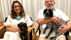 Janja e Lula com as cadelas - Foto: Reprodução / Twitter