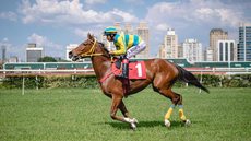 Imagem: Reprodução/Jockey Club São Paulo
