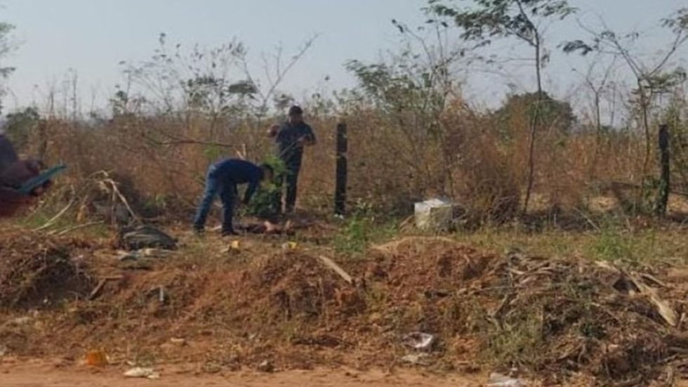 Jovem é encontrada morta e com o rosto desfigurado em MT - Imagem: Reprodução / Repórter MT