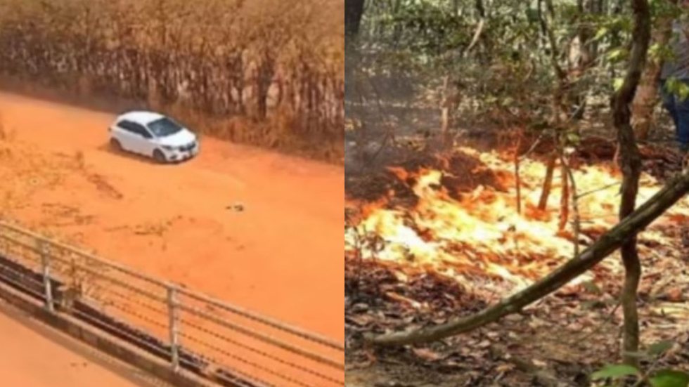 Justiça libera engenheiro acusado de causar incêndios em fazenda de Mato Grosso - Imagem: Reprodução/Redes Sociais