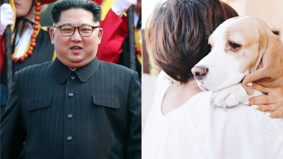Cães de estimação são proibidos na Coreia do Norte e Kim Jong Un dá sentença triste aos pets - Imagem: reprodução Instagram @_kim_jong_unn / Freepik
