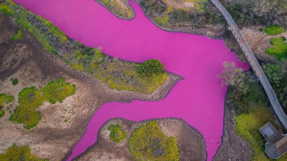 Lago em ilha famosa no Havaí fica rosa do nada e cientistas especulam explicação - Imagem: reprodução Instagram @Traviskeahi_photo