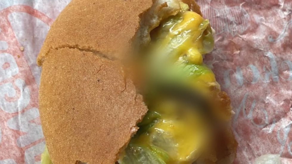 Uma mulher encontrou um inseto no meio do lanche de uma franquia da rede de fast food Burger King. - Imagem: reprodução I The New York Post