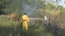Incêndio em área florestal mobiliza bombeiros de Araçatuba
