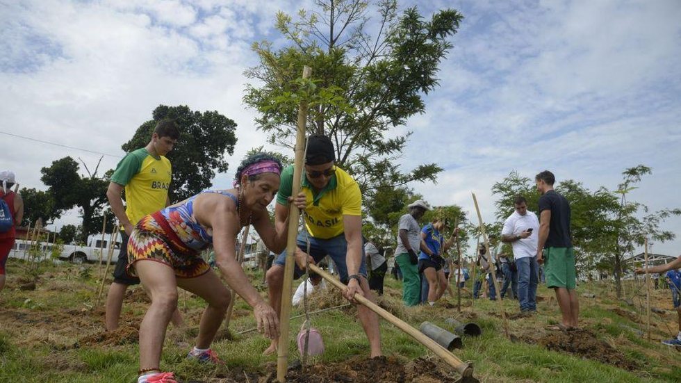 MMA lança programa para impulsionar renda de quem protege as florestas