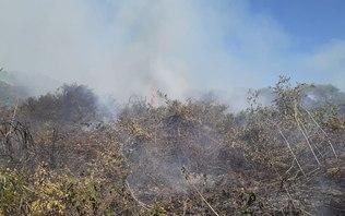 Equipes dos bombeiros lutam para conter queimadas no pantanal