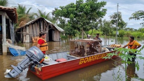 Chuvas e alta de rios deixam ao menos 340 desabrigados no Tocantins