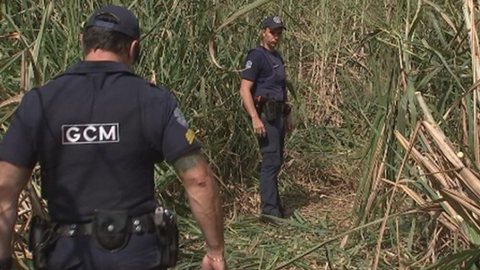 Polícia investiga morte de dois homens achados em canavial
