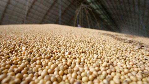 IBGE prevê aumento de 10% na safra de grãos em 2022 no país