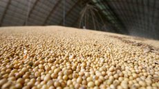IBGE: safra de grãos deve fechar 2020 com alta de 2,3%