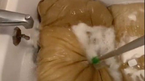 Vídeo de garota lavando travesseiro imundo do namorado viraliza; assista