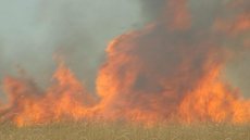 Incêndio atinge área de pastagem na zona norte de Rio Preto