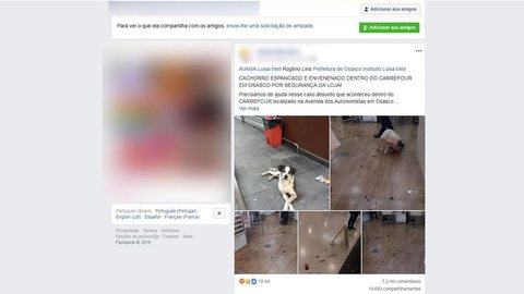 Polícia de SP deve concluir nesta semana inquérito sobre cachorro morto após agressão no Carrefour