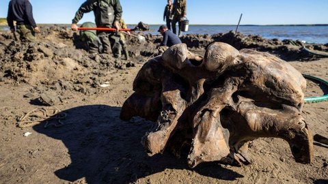 Esqueleto de mamute bem preservado é encontrado no Ártico russo